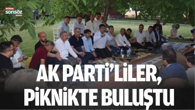 AK Parti&rsquo;liler, piknikte buluştu