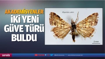 Akademisyenler, iki yeni g&uuml;ve t&uuml;r&uuml; buldu