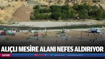 Alı&ccedil;lı Mesire Alanı nefes aldırıyor