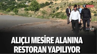 Alı&ccedil;lı Mesire Alanına restoran yapılıyor