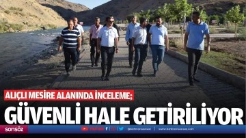 Alı&ccedil;lı Mesire Alanında inceleme