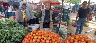 Alo Tevşo&rsquo;da fiyatlar ne durumda?