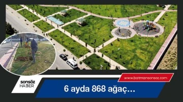 Altı ayda 868 ağa&ccedil;&hellip;