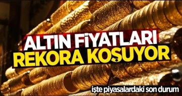 Altın gram fiyatı rekora y&ouml;neldi!