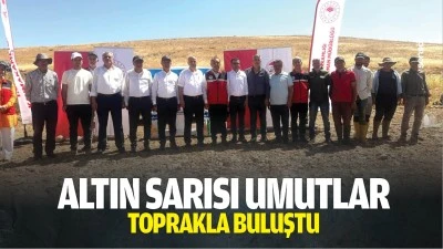 Altın sarısı umutlar, toprakla buluştu