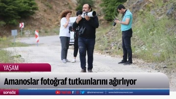 Amanoslar fotoğraf tutkunlarını ağırlıyor