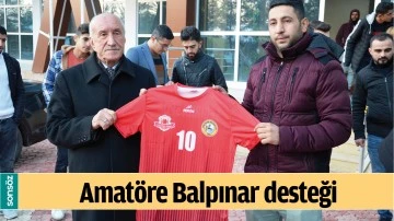 AMAT&Ouml;RE BALPINAR DESTEĞİ