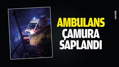 Ambulans, &ccedil;amura saplandı