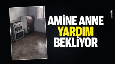 Amine Anne yardım bekliyor