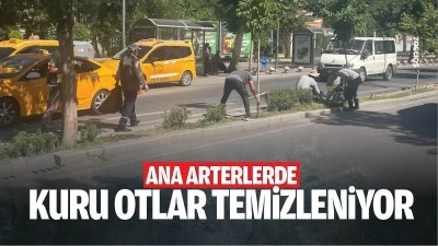 Ana arterlerde kuru otlar temizleniyor