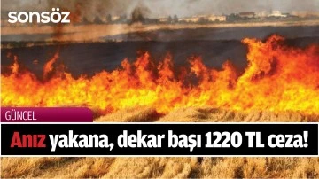 Anız yakana, dekar başı 1220 TL ceza!