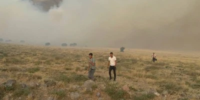 Anız yangını ormana sı&ccedil;radı