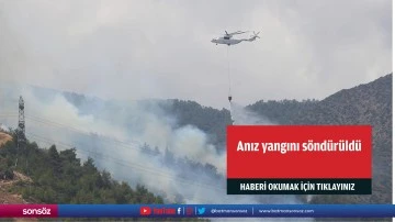 Anız yangını s&ouml;nd&uuml;r&uuml;ld&uuml;