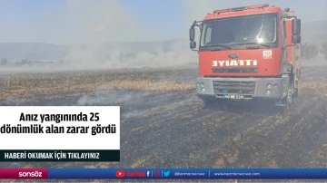  Anız yangınında 25 d&ouml;n&uuml;ml&uuml;k alan zarar g&ouml;rd&uuml;