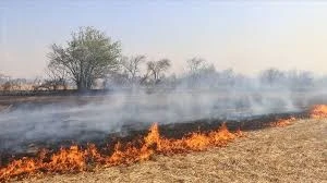Anız yangınında dumandan etkilenen kişi hayatını kaybetti
