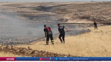 Anız yangınlarında 3 kişi daha hayatını kaybetti
