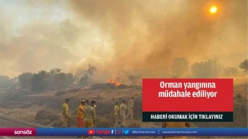 Antalya'da ormanlık alanda yangın &ccedil;ıktı