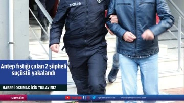 Antep fıstığı &ccedil;alan 2 ş&uuml;pheli su&ccedil;&uuml;st&uuml; yakalandı