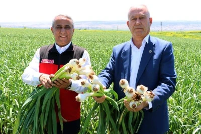 Araban Ovası'nda incelemede bulundu