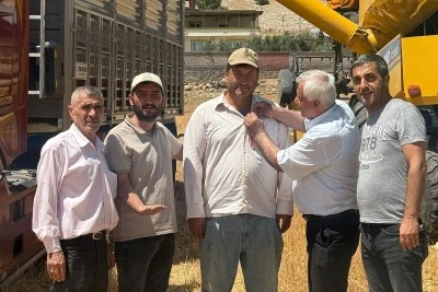 Araban ovasında yılın ilk buğday hasadı yapıldı