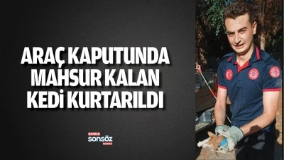 Ara&ccedil; kaputunda mahsur kalan kedi kurtarıldı