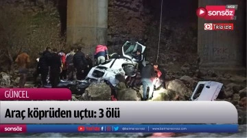 Ara&ccedil; k&ouml;pr&uuml;den u&ccedil;tu: 3 &ouml;l&uuml; 
