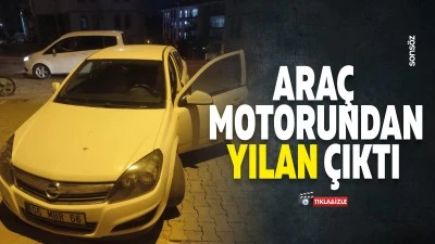 Ara&ccedil; motorundan yılan &ccedil;ıktı