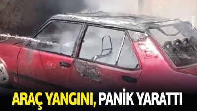 Ara&ccedil; yangını, panik yarattı