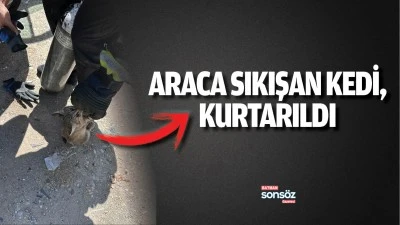 Araca sıkışan kedi, kurtarıldı