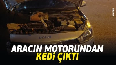 Aracın motorundan kedi &ccedil;ıktı