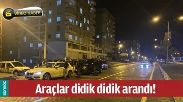 ARA&Ccedil;LAR DİDİK DİDİK ARANDI!