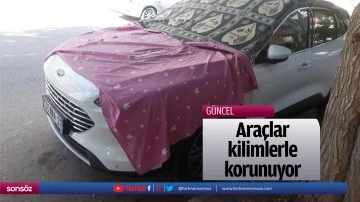 Ara&ccedil;lar, kilimlerle korunuyor
