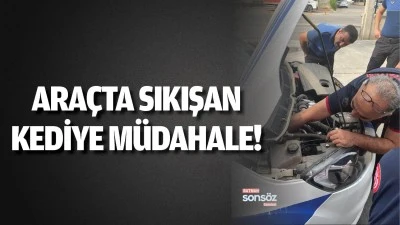 Ara&ccedil;ta sıkışan kediye m&uuml;dahale!