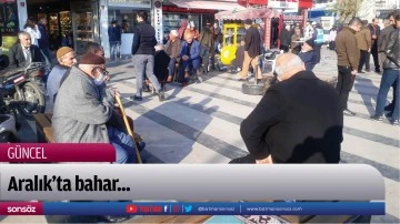 Aralık&rsquo;ta bahar...