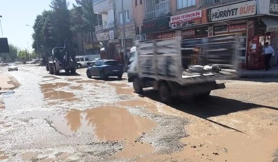 Arı Caddesi, k&ouml;stebek tarlasına d&ouml;n&uuml;şt&uuml;