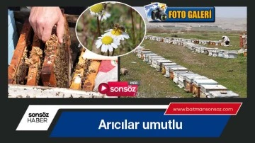 Arıcılar umutlu