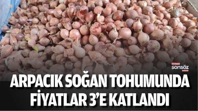 Arpacık soğan tohumunda fiyatlar 3&rsquo;e katlandı