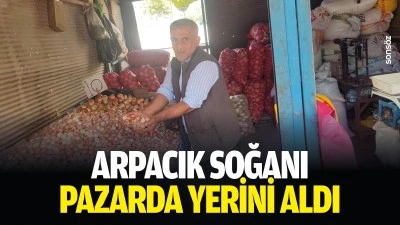 Arpacık soğanı pazarda yerini aldı