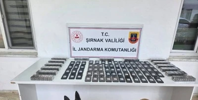 Asayiş operasyonlarında 109 kişiye adli işlem uygulandı