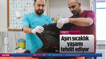 Aşırı sıcaklık yaşamı tehdit ediyor