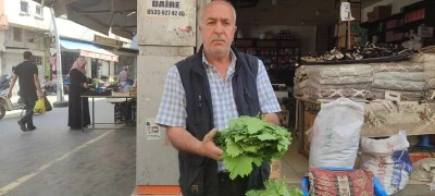 Asma yaprağı tezgahlarda&hellip;