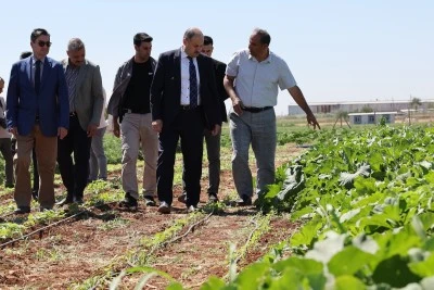 Ata tohumları yeniden &uuml;retime kazandırılıyor