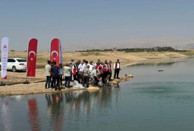 Atat&uuml;rk Baraj G&ouml;leti'ne 1 milyon 75 bin balık yavrusu bırakıldı