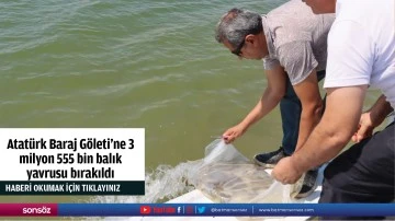 Atat&uuml;rk Baraj G&ouml;leti'ne 3 milyon 555 bin balık yavrusu bırakıldı