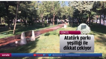 Atat&uuml;rk parkı yeşilliği ile dikkat &ccedil;ekiyor