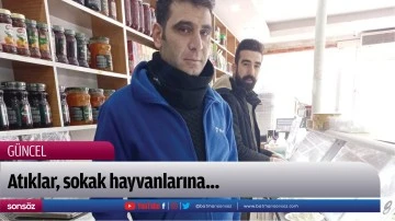 Atıklar, sokak hayvanlarına...