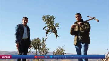 Atıl araziler hobi bah&ccedil;esine d&ouml;n&uuml;şt&uuml;r&uuml;ld&uuml;