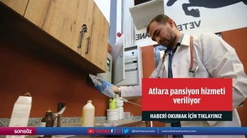 Atlara pansiyon hizmeti veriliyor