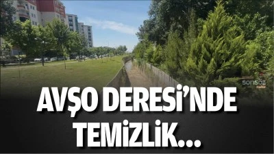 Avşo Deresi&rsquo;nde temizlik&hellip; 
