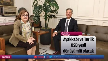 Ayakkabı ve Terlik OSB yeşil d&ouml;n&uuml;ş&uuml;ml&uuml; olacak